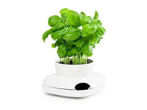 Yrttiruukku, pieni Yrttiruukku, pieni