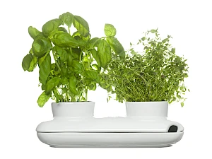 Yrttiruukku Duo Yrttiruukku Duo